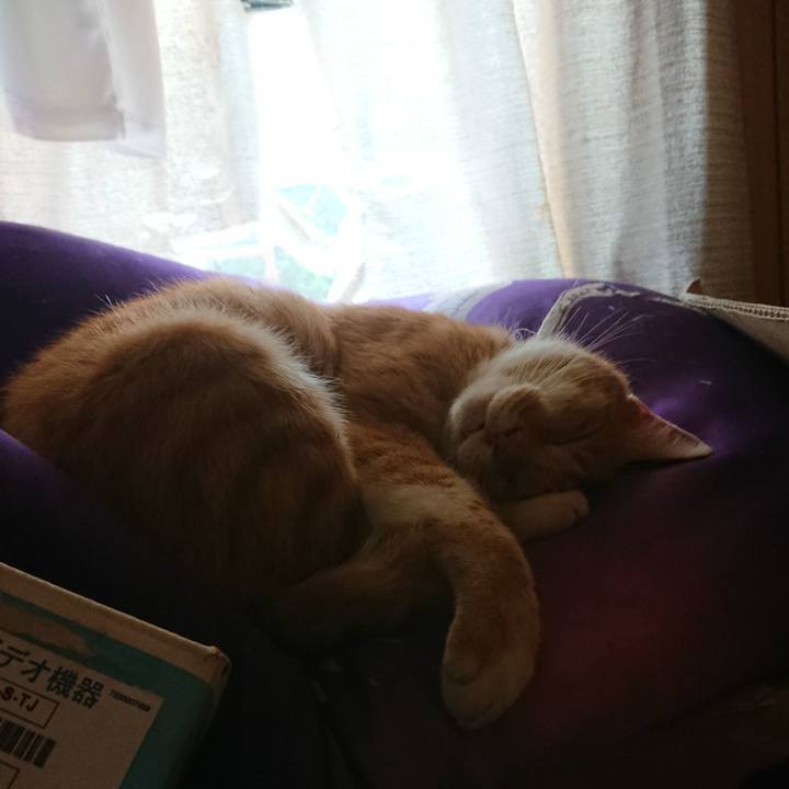 4a0a51b2 c260 41e2 953f fb767e2064b6 1596677045376