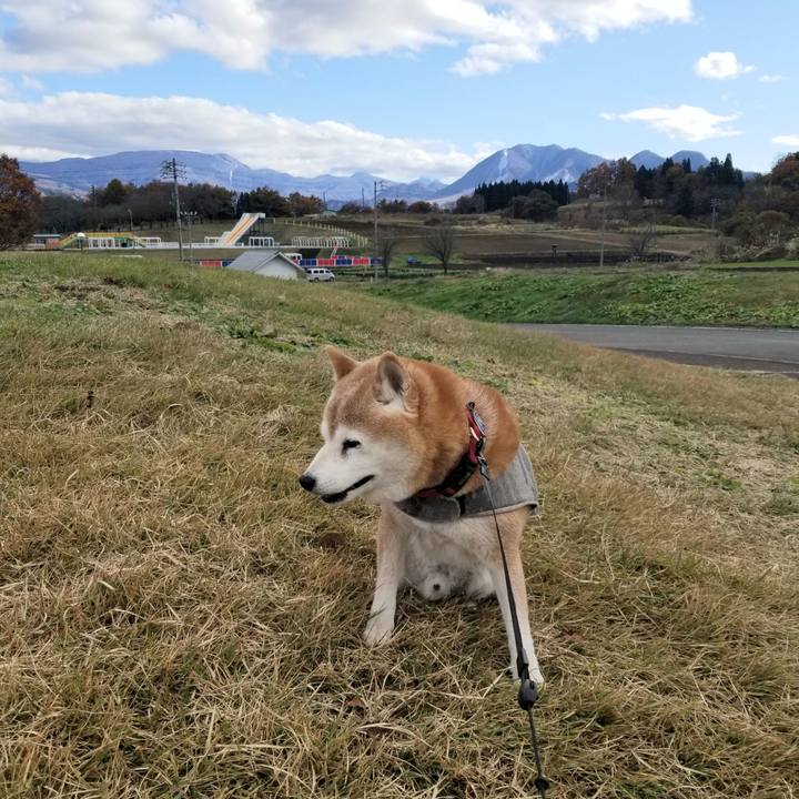 4a0a9af4 5714 4808 8df5 785d79d3018e 1732163632202