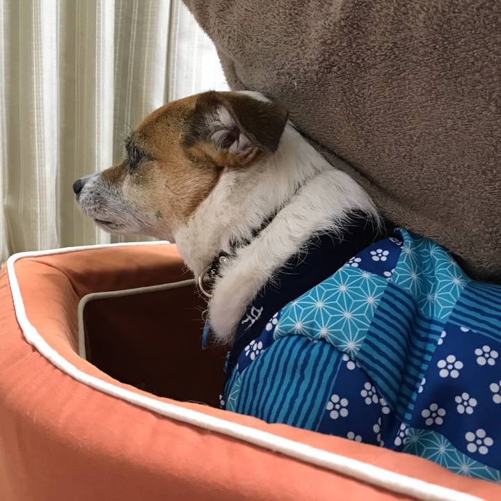 4a0aded8 8e98 4c66 87e3 ee1eedc8d42f 1552910505647