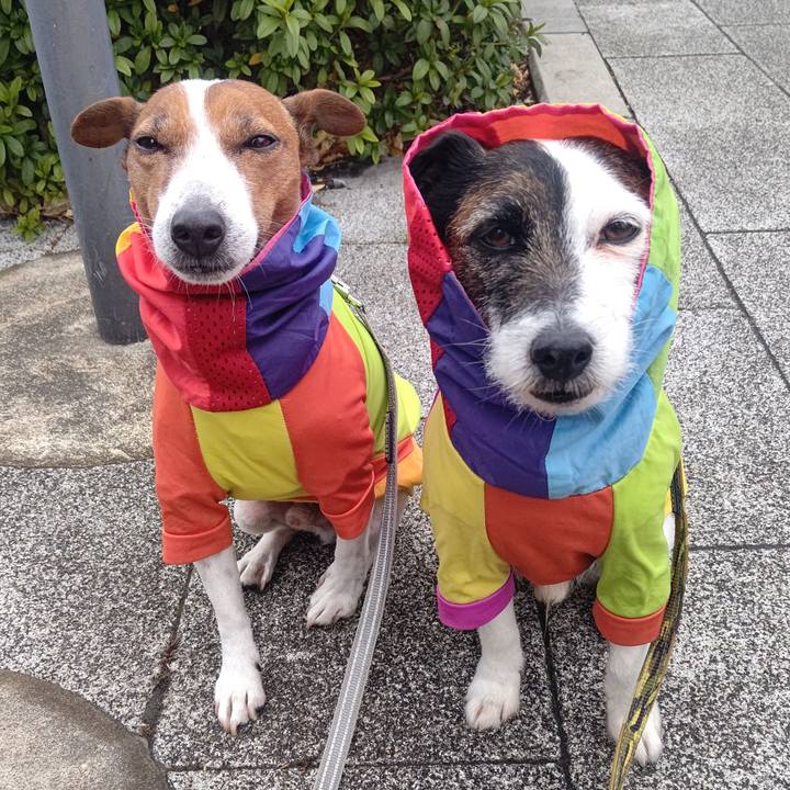 4a0b2e81 1236 4f31 8040 e17f05fd408a 1707014855266