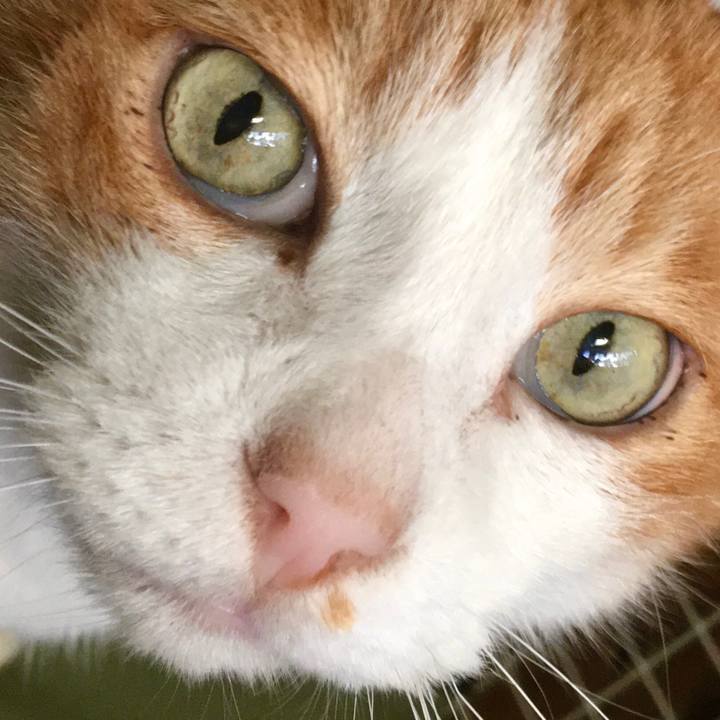 4a0b356a a2ef 465c b644 e779883e17b4 1576133504120