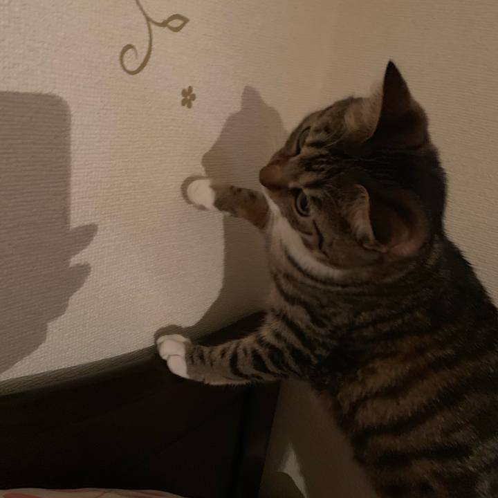 4a0b4b5d b027 4e03 b009 b1fc452124ae 1553943394111