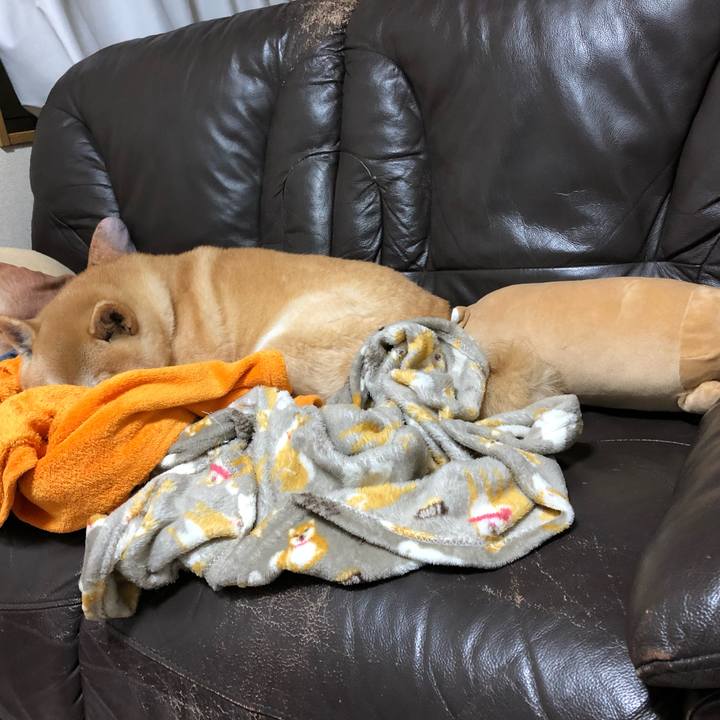 4a0b534d ae46 415c bc93 a08e3739bae1 1548584800725