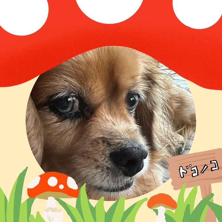 4a0b646c 5c05 4917 b418 9748f7306b8a 1729295665412