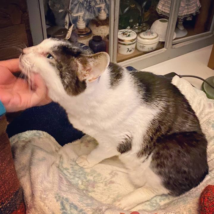 4a0b7224 f6a5 4aae 8d3d 64f4af85b233 1613827633221