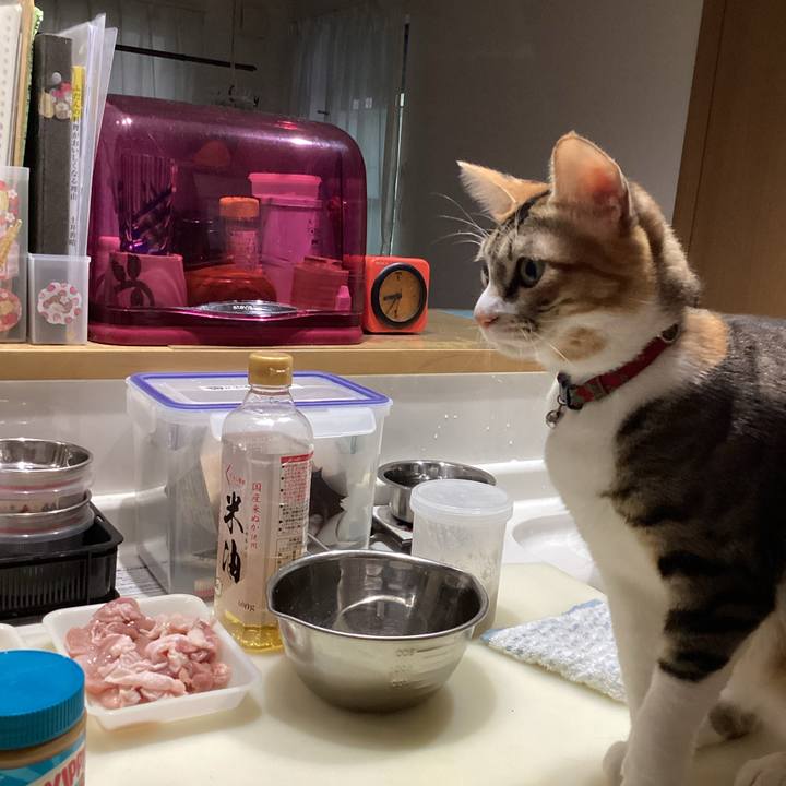 4a0b7d61 5e16 4de2 92cf 4375abe7e74e 1669164479636