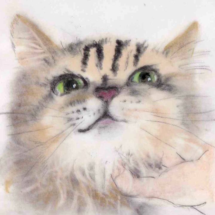 4a0bc3cd cd7f 4cbf a247 7ccb57b862f5 1643251927033