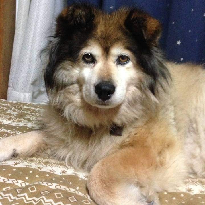 4a0bc833 9822 480f bd28 d53d3f1142ce 1565947155587