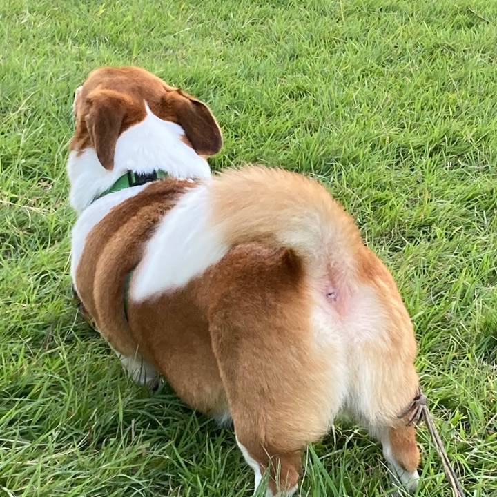 4a0bd6aa 083a 4d59 ad45 e12d2e9636c4 1728952672910