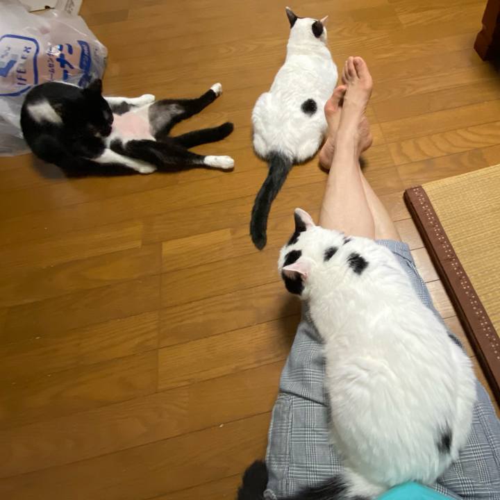 4a0c2480 1e14 40aa ada2 479b87ca3724 1662214959237