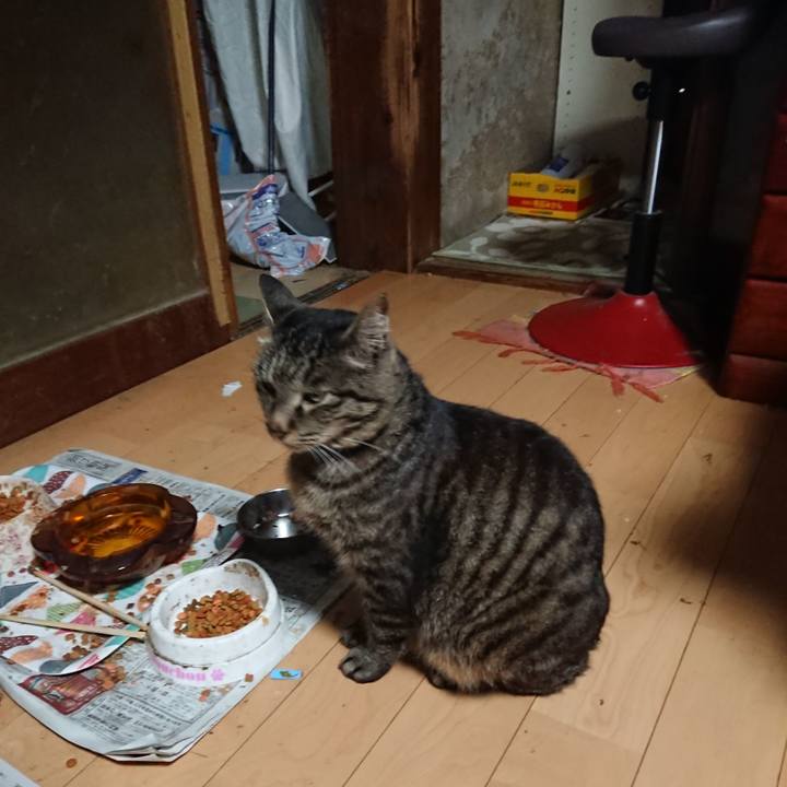 4a0c7dd6 dcb5 4848 8929 959c3387605b 1655898866577