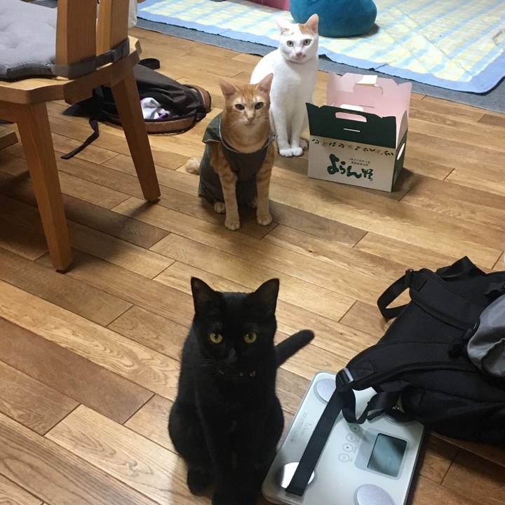 4a0c8dc6 c0bb 4ee6 8984 23c6a04389ea 1535028535348