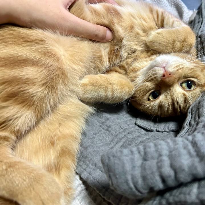 4a0c9809 4c33 4204 bc9a fe42842e5286 1697624235536