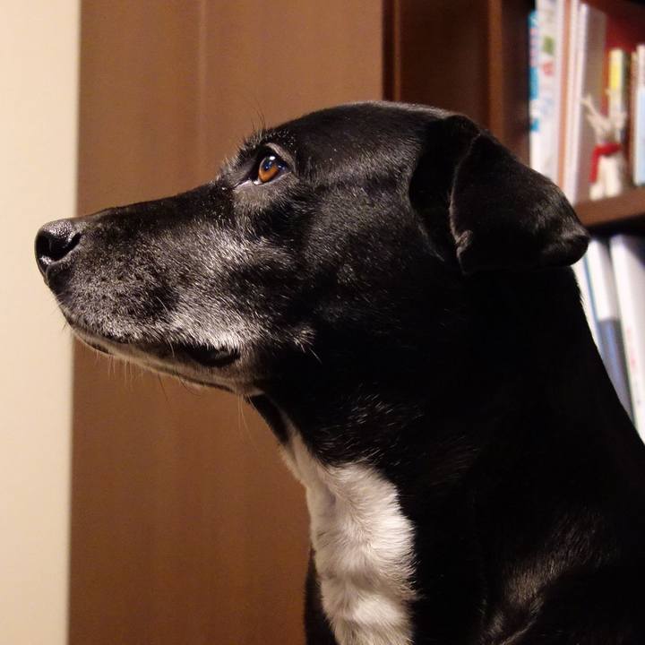 4a0ce40f f4e1 4d23 8e1e 565445c060e7 1739924782566