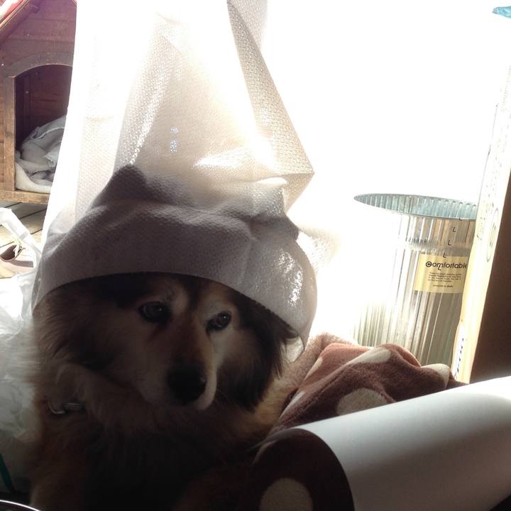 4a0cf14a 9e05 4512 9b68 aa3798053ff7 1616001824338