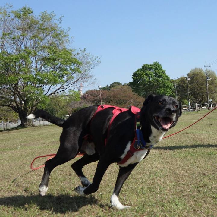 4a0cf6b0 dc0e 482c 854a 649f09d621f0 1681005442079