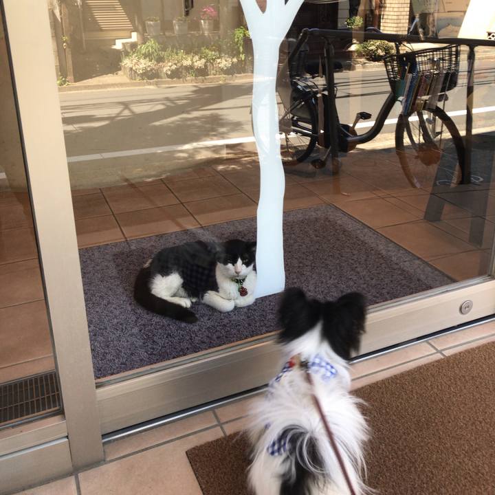 4a0cfe60 8535 4a5d ab73 77d7c12c7080 1524888690923