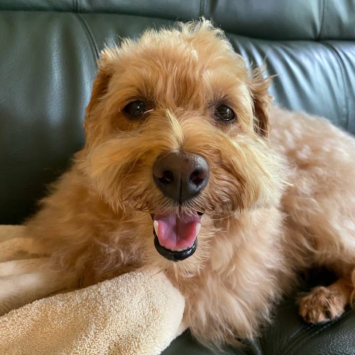 4a0d290b 32e8 4fca b792 6ef298279381 1626733434731