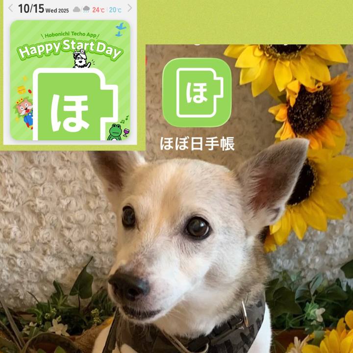 4a0d7808 e45c 4db9 ac4a fdf711946a57 1760524675469