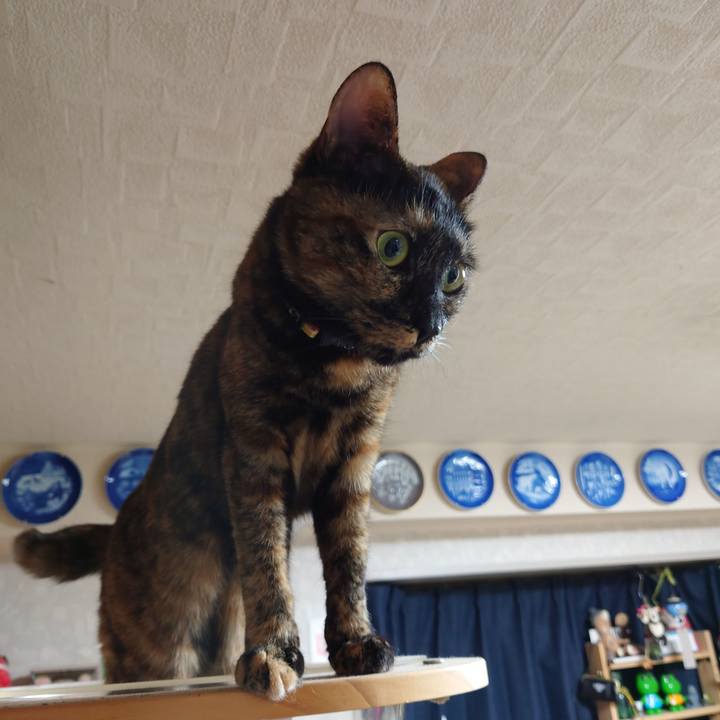 4a0d78d2 2498 48ac 9a14 8fb98485e6aa 1610538842258