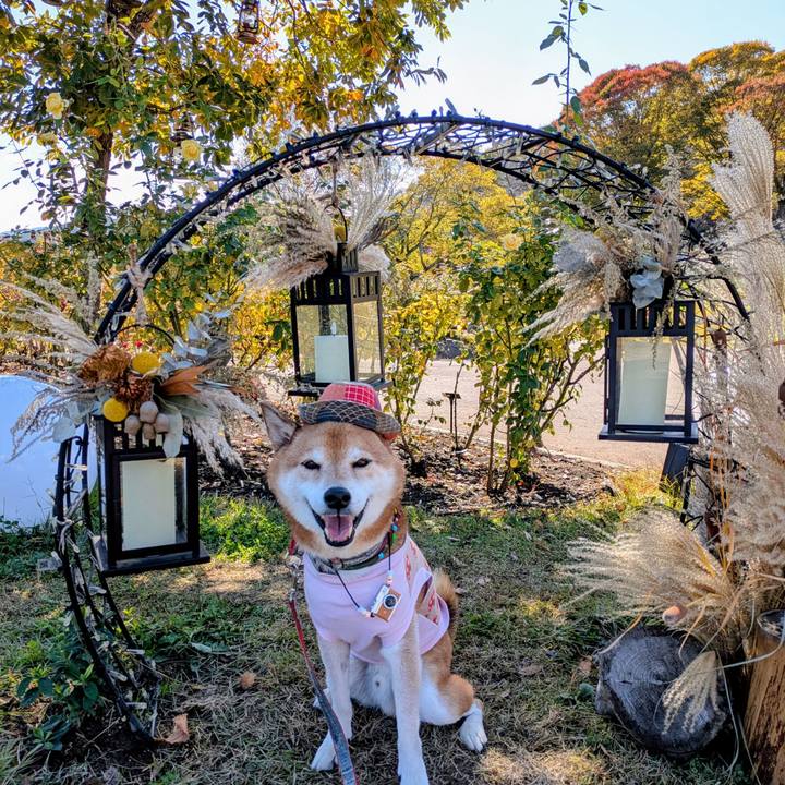 4a0d8a3e 81c9 4ba1 ae9f 951b5c2c00c9 1762995854829