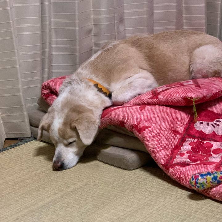 4a0df0f0 b31d 4c3b 97d9 989ff708d302 1637592508622