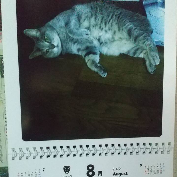 4a0e2207 71fe 4c6f 8006 bc5c01a1d130 1659308894144