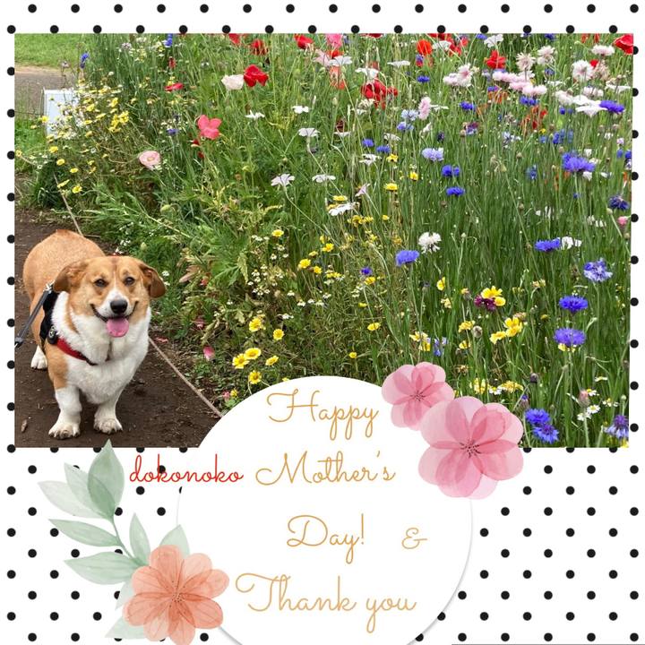 4a0e4c47 4e30 4094 b39d e2c8b09118c8 1684048390528