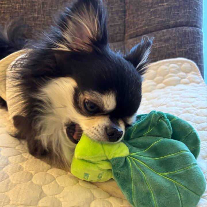 4a0e5203 9978 40a6 9f1d 184e2145fb4b 1746980023868