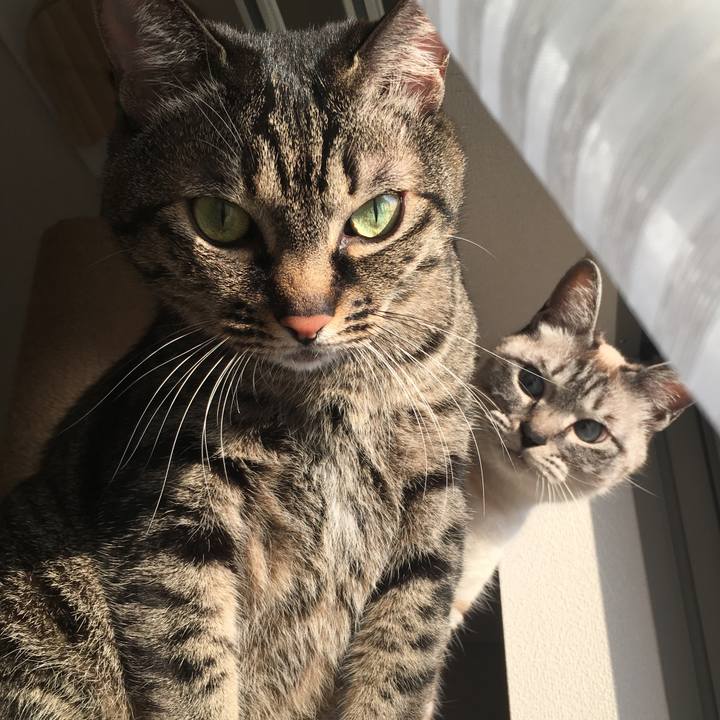 4a0e7950 36ee 495a b3cf d474147feca1 1582324041144