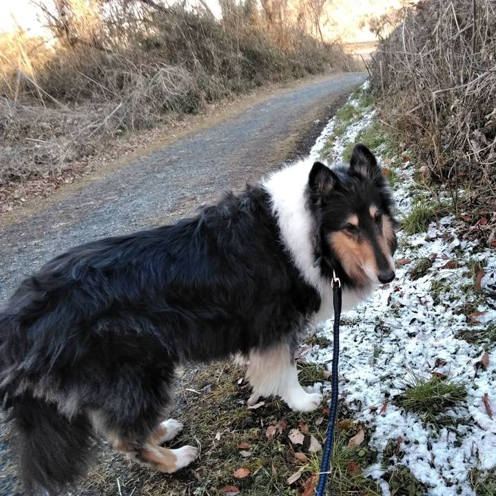 4a0e9e90 2737 4de6 bc58 ae5e0784754f 1549159520446