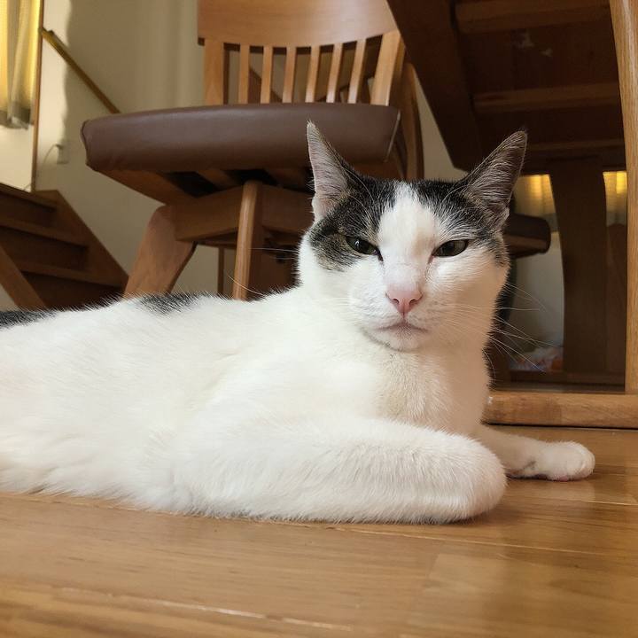 4a0eb24f f2a4 416d 8dad b0b48e5ff7aa 1656623135539