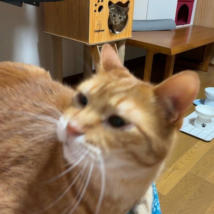 4a0ee78d 43bf 4815 b9f9 a9b4ec9f14ca 1748866926739