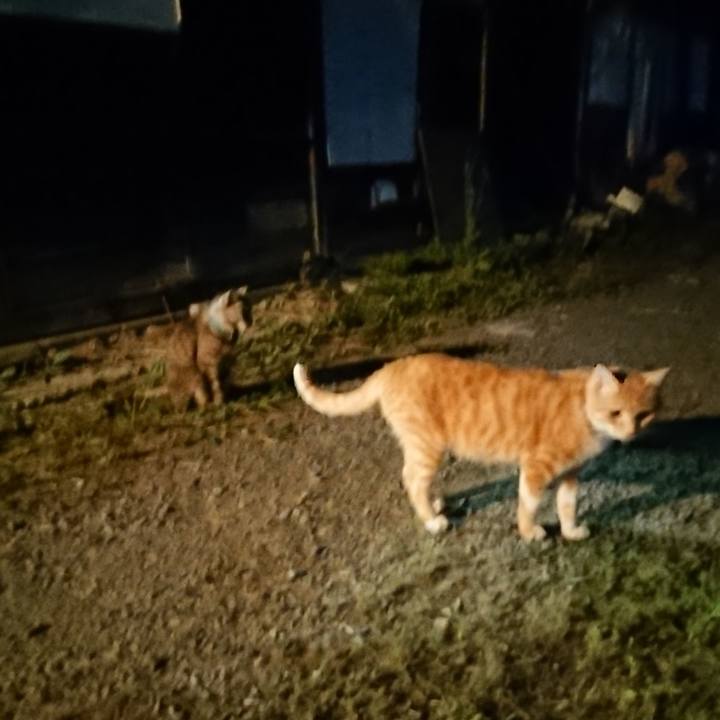 4a0eeb71 08bf 47e2 ad5f cecd235a28f3 1565438137213