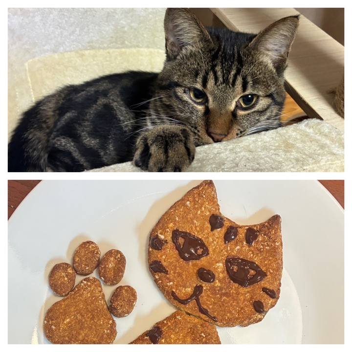 4a0f06cd 3ca7 441e b53b 3ef88137d198 1760304235429