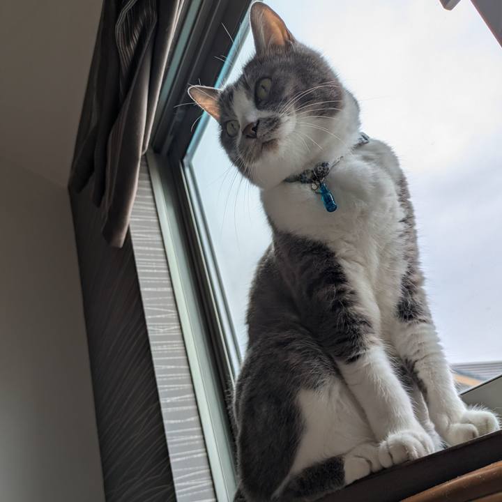 4a0f1f62 8dde 4c7b a4fa 99e029ef1e8a 1748244673231