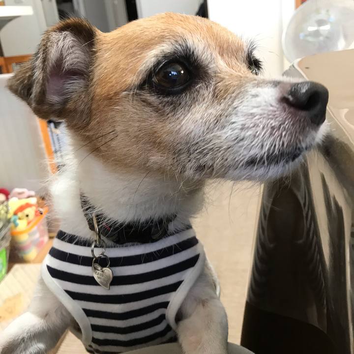 4a0f2b80 153a 41bd 9b94 45c159b6fcc3 1569904809998