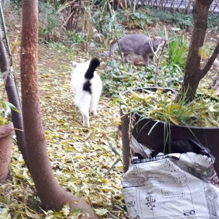 4a0f8de0 cda9 4b1a 8cec aa9b72bc8218 1544705213164