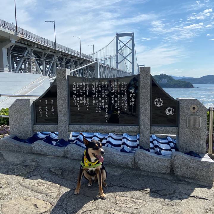 4a0fb41e b9b8 46d4 b474 a867032f4f15 1592639805218