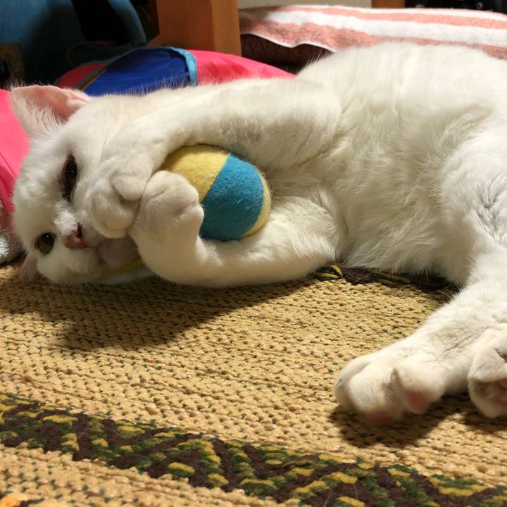 4a0fb922 7e1a 4716 8625 e0e9bad3d4fe 1543305453690