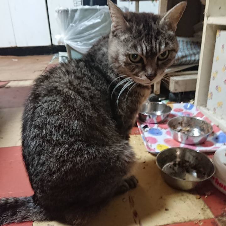 4a0ff20b ca47 4746 a678 92afc854fa67 1558469545349