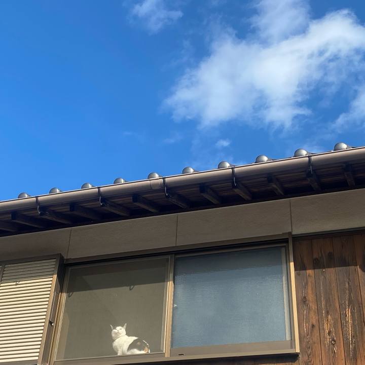 4a0ff2d5 8f9c 42b3 833b bd49e311e09f 1645491994371