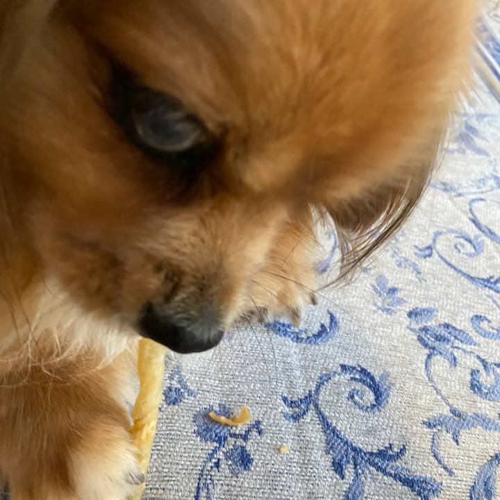 4a103718 debe 40b5 90dd 45961fa0d1ce 1628029739650