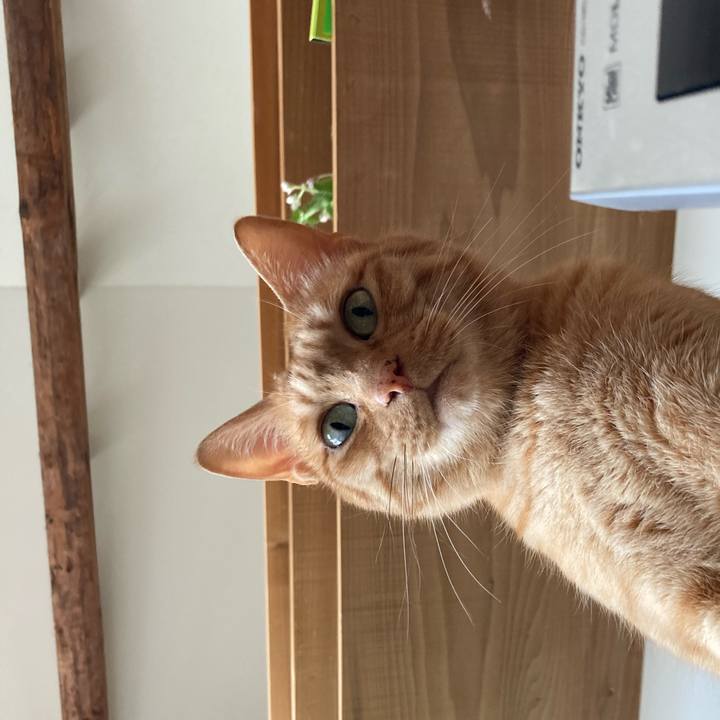 4a103890 ecaa 4ec1 bb1a be2589ffdbdc 1656718301915