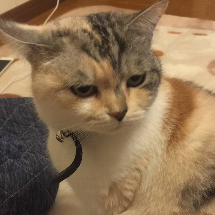 4a104f16 eae5 467a b6b8 6c986369ec88 1551194071997