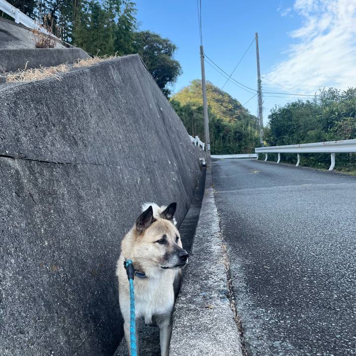 4a1070f1 66e7 4014 89ff f52cd953c246 1696150033459