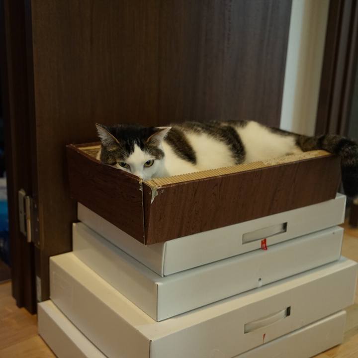 4a1085fb 31f3 443f 849a 6442368da05c 1538437061344