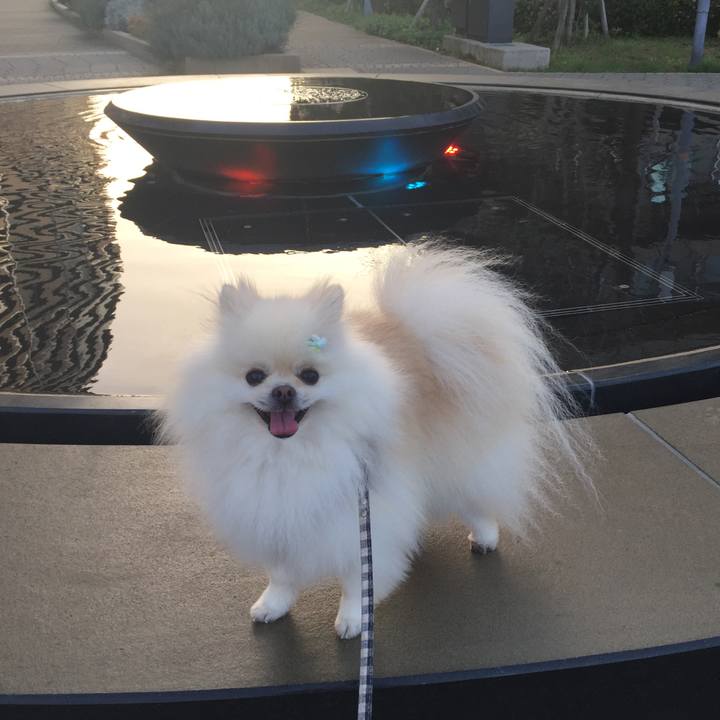 4a10ed68 9754 4217 8baf a972770215d5 1567630563003