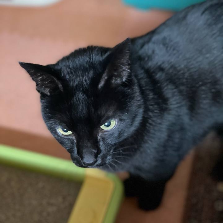 4a10f401 3497 4061 a932 ce77645c1370 1610331038982