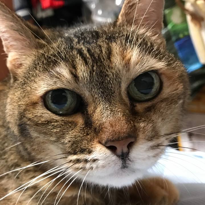 4a110244 f1c5 4437 820e 8f9ac6af71ec 1537504393548